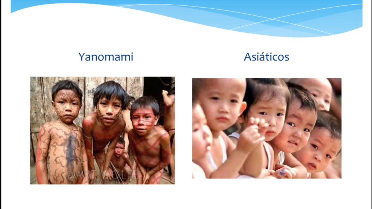 SEMELHANÇAS ENTRE INDÍGENAS BRASILEIROS E ASIÁTICOS YouTube SEMELHANÇAS ENTRE INDÍGENAS BRASILEIROS E ASIÁTICOS YouTube
