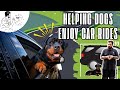 Helping Dogs Enjoy Car Rides In A Short Educational Video - Lets Talk K9
