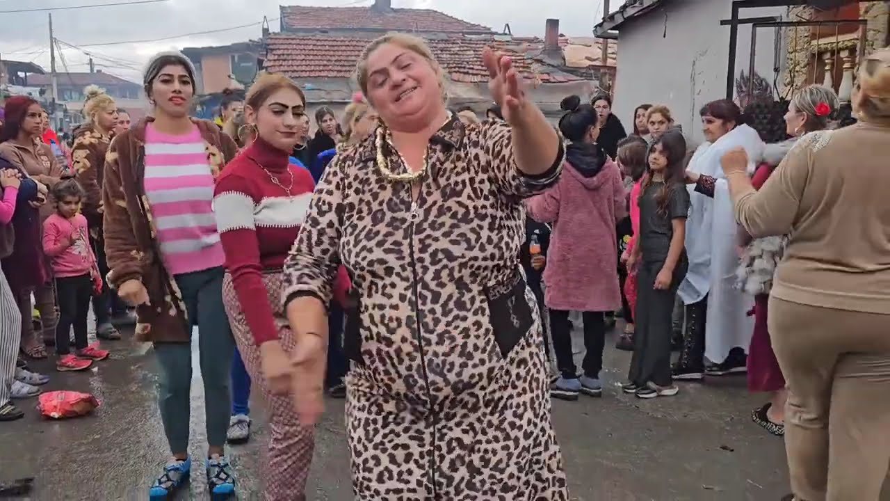 ⁣Kucheck Bulgaria - Кючека Анаконди ✨💞✨