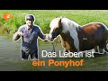 Arbeiten auf dem Reiterhof | Ferienjob-Tour mit Lutz und Fabian