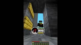 Minecraft Invisible Ladders Part  2  #minecraft #minecraftshorts