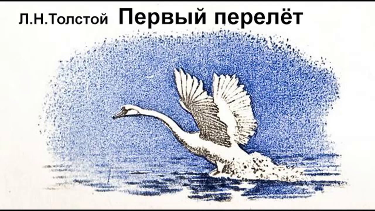 Произведение лебедь. Лев Николаевич толстой лебеди. Сказка лебеди Лев Николаевич толстой. Толстой Лев сказка «лебеди». Лев Николаевич толстой рассказ лебеди.