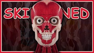 SKINNED MODE COMPLETE - Raldi