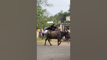 Motivational Video 😂 | #shorts #viral #trending #unscriptedcharnumber #motivation #motivational