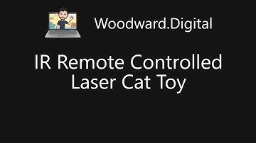 IR Remote Controlled Laser Cat Toy