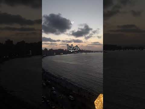 خلينا نهرب من خوف ليالينا مصطفى قمر  حالات واتساب 