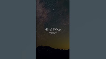 أفلا ينظرون إلى الإبل كيف خلقت | #قرآن #سورة_الغاشية #ياسر_الدوسري