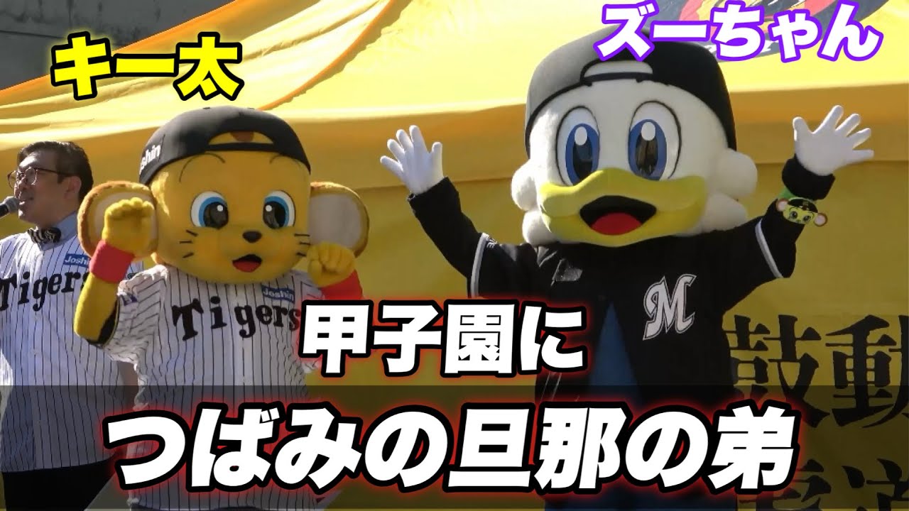 【マスコットの弟分の対決！！初甲子園のズーちゃんのミズノスクエアのステージでキー太とのマスコット対決！】阪神対ロッテ