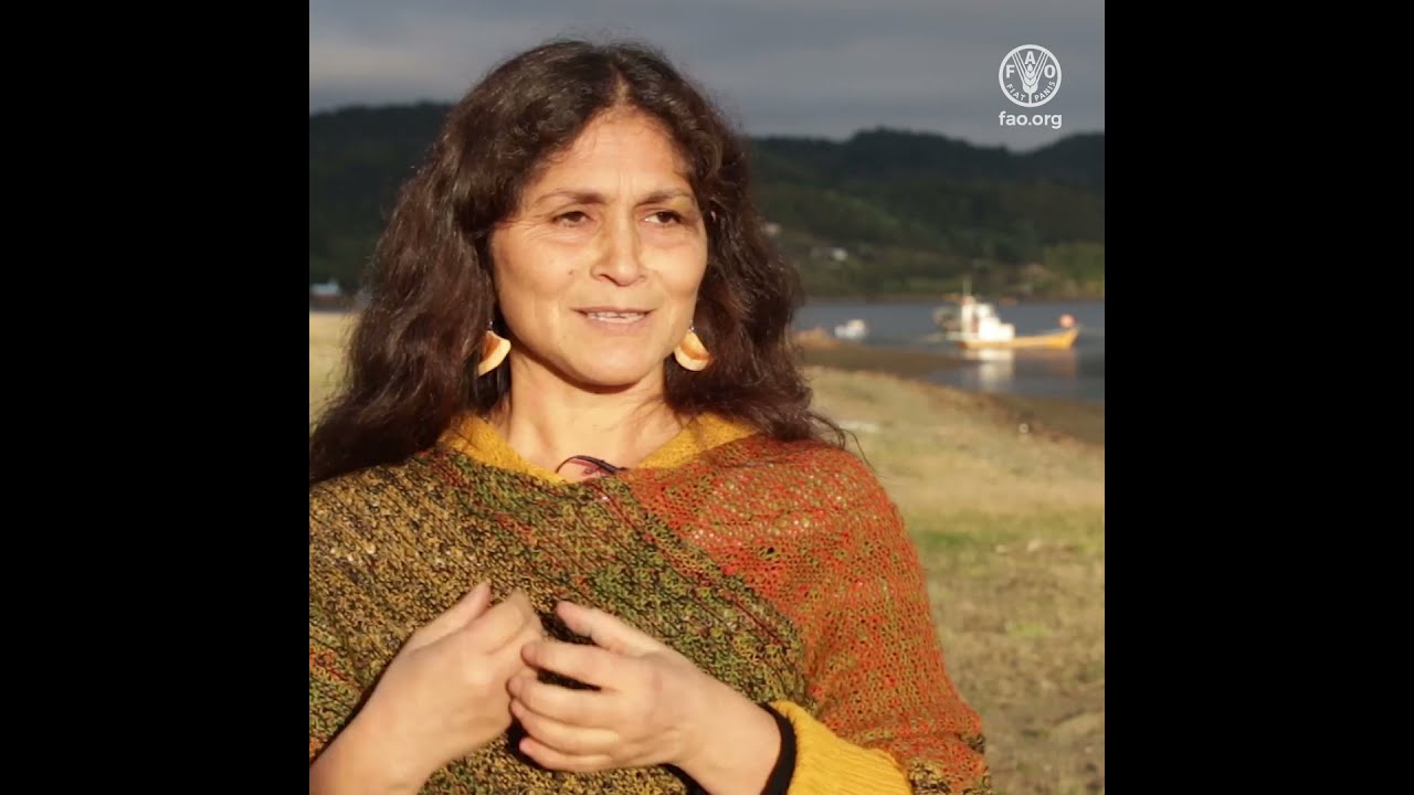 Prácticas de adaptación Caleta El Manzano, Los Lagos. Proyecto GEF, FAO Chile, MMA, SUBPESCA