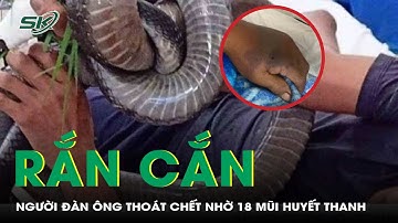Bị rắn hổ đất cắn, người đàn ông 70 tuổi thoát chết nhờ tiêm 18 lọ huyết thanh | SKĐS