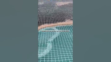 anti bird net services Pigeon bird net invigival giril Kabutar jal gurugaram #shorts #birdnetting