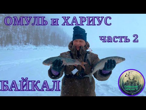 Видео: Ловля ОМУЛЯ-ХАРИУС на БАЙКАЛЕ  часть 2