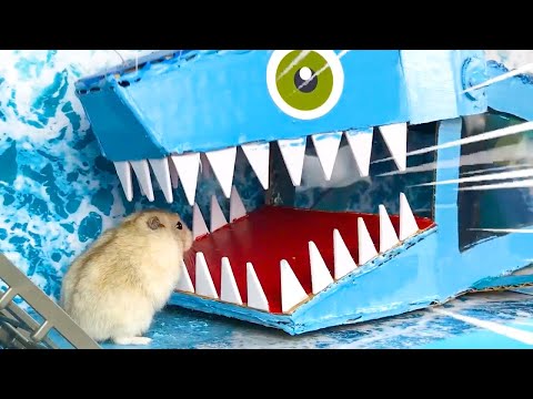 Video: Ni biashara gani ya gari na hamsters?
