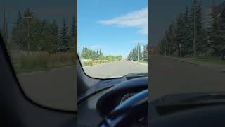 BMW M6 HARD ACCELERATION! PURE SOUND! #bmwm6  #launch  #straightpipe #exhaust #v10m6 #v10m5