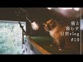 猫と秘密基地DIY(照明と壁掛け時計)【猫と暮らす】