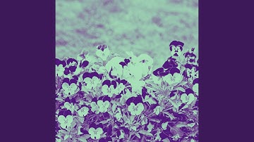 High Class Moods for Memory Rest