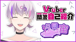 「【自己紹介】Vtuber一問一答自己紹介【汐見宙/新人Vtuber】」のサムネイル