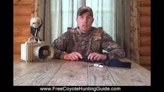How to hunt Michigan Coyotes