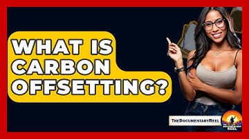 What Is Carbon Offsetting? - The Documentary Reel