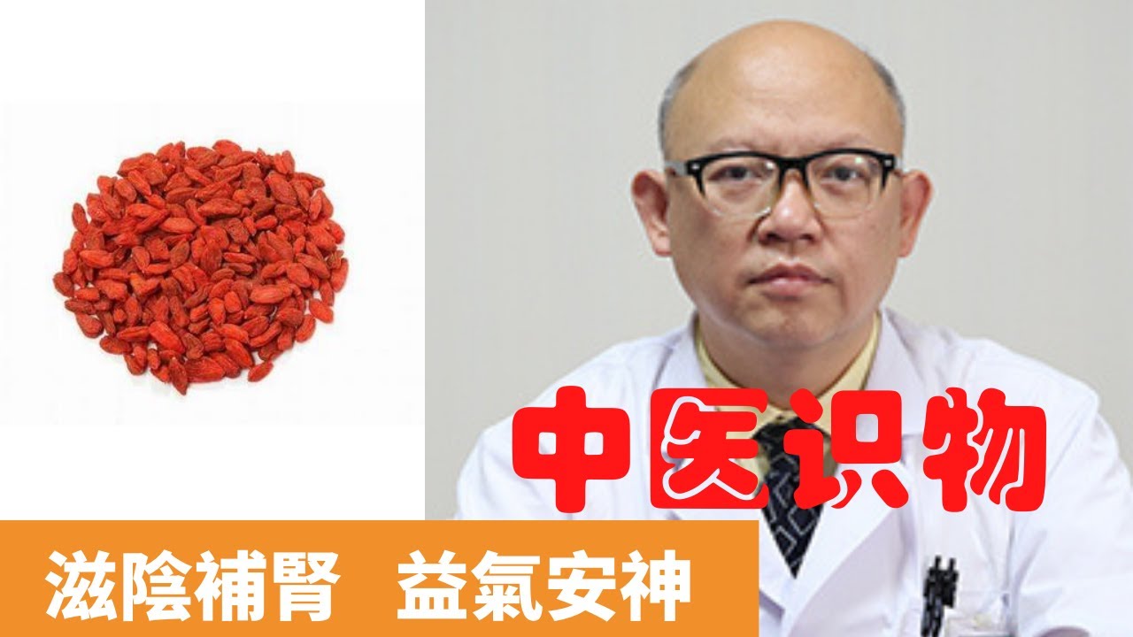 枸杞子的功效與作用【保健養生】生生不息 - YouTube