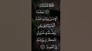 سورة لقمان ووصينا الإنسان بوالديه حملته أمه وهنا على وهن وفصاله في عامين الاية ١٤