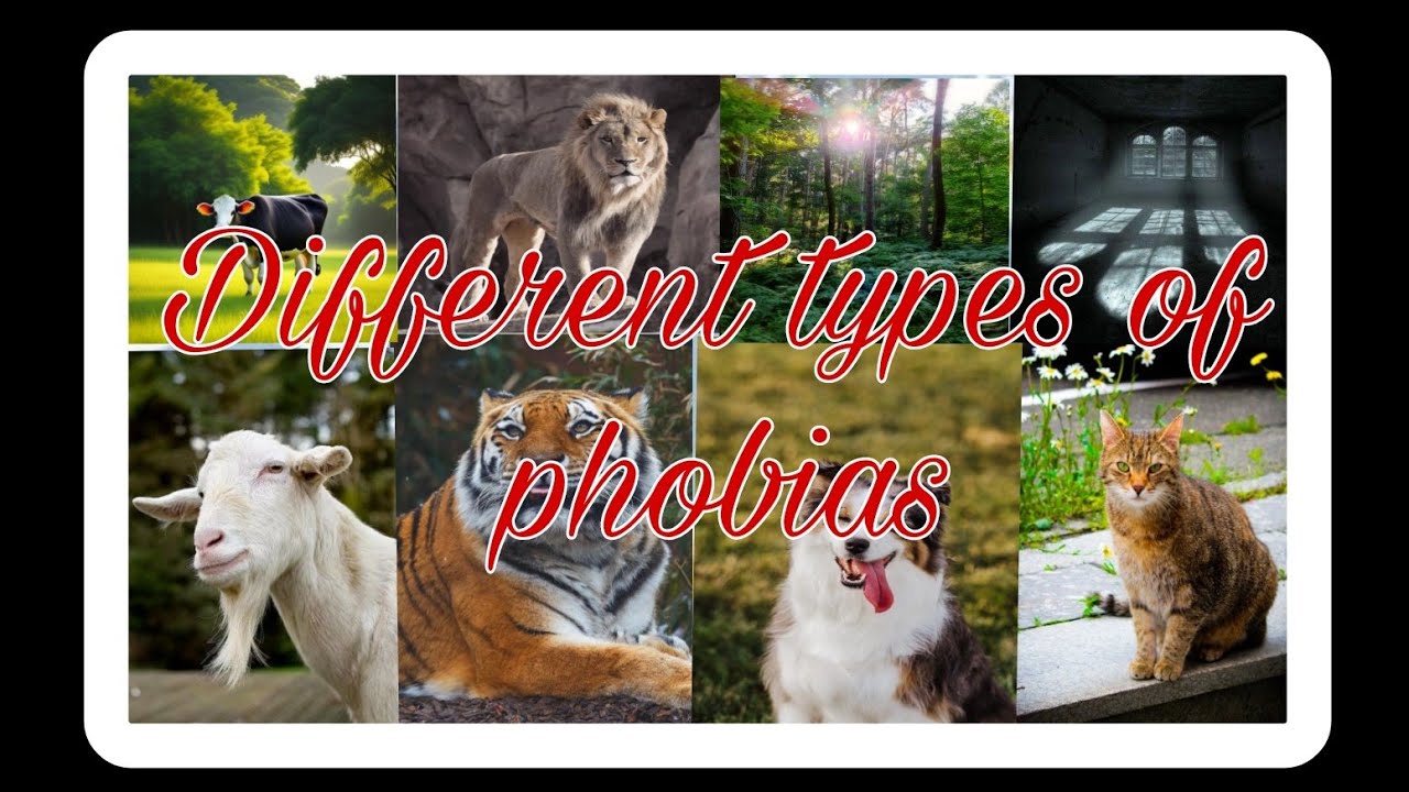 Different type of phobias.