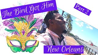 New Orleans Travel Vlog | Pt. 2 | Man vs Bird
