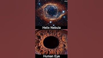 Universe vs human body       #shorts #video #universe #like #human #brain and #eyes #kids #video