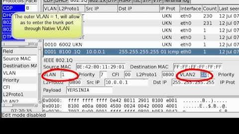 vlan hopping using Yersinya on BackTrack