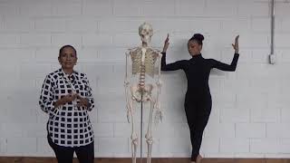 1.- LECCIONES DE ANATOMIA PARA PROFESORES DE DANZA