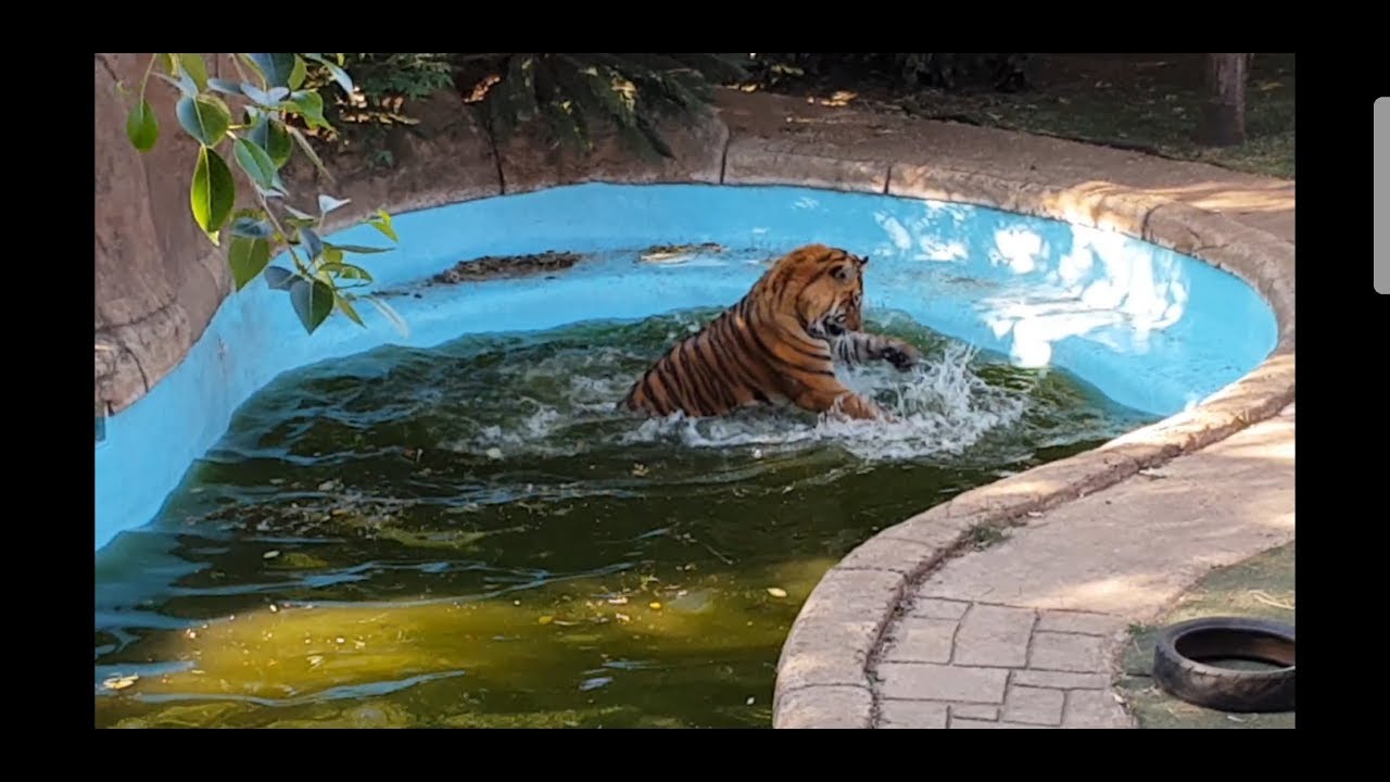 Sunday drive outing in the Brakpan and Boksburg area