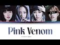 Blackpink  pink venom but you are lisa color coded lyrics karaoke