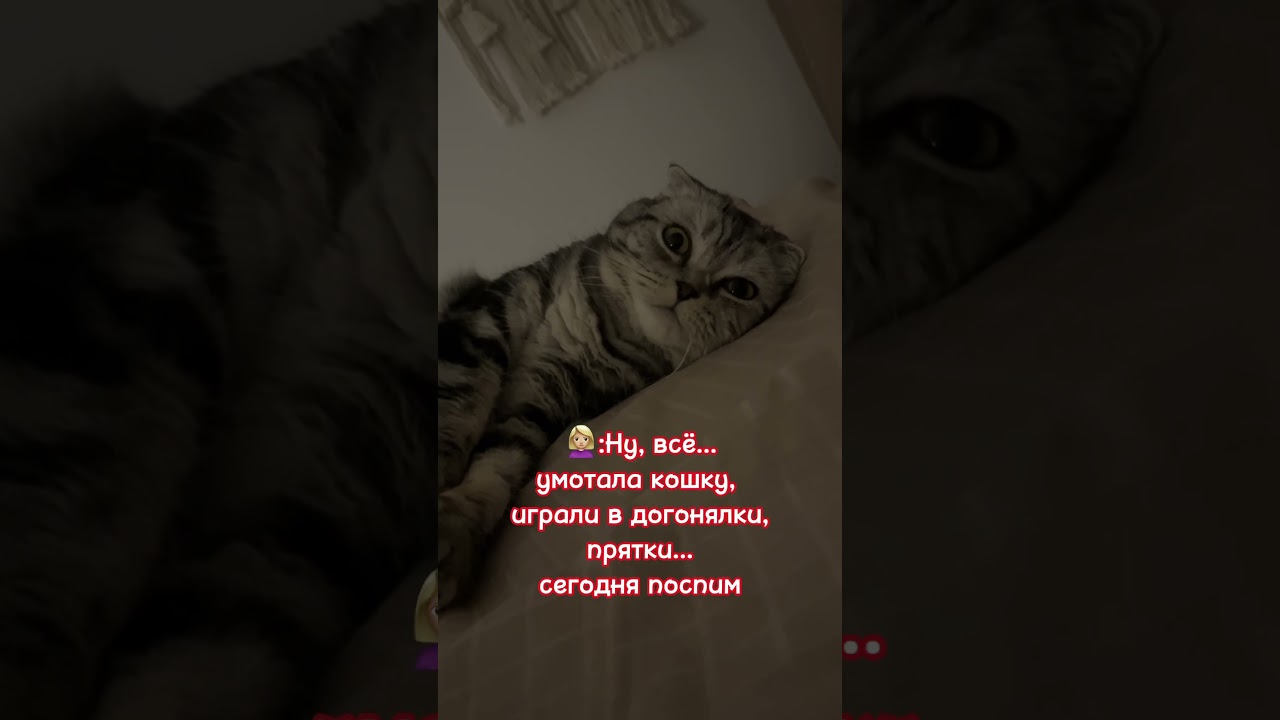 А оказалось - показалось😅