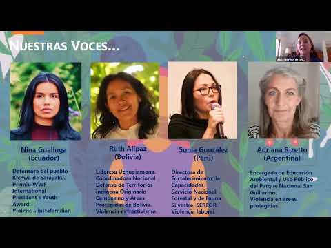 Vídeo: La Geografía De La Violencia De Género En Brasil - Matador Network