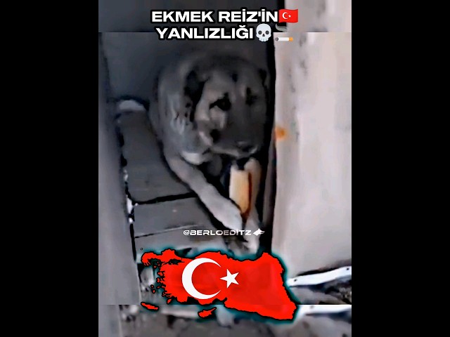 |•Ekmek Reiz🇹🇷 En iyisi💀🚬🗿•| #indonesia #uk #india #germany  #russia #türkiye #usa #pakistan #japan class=