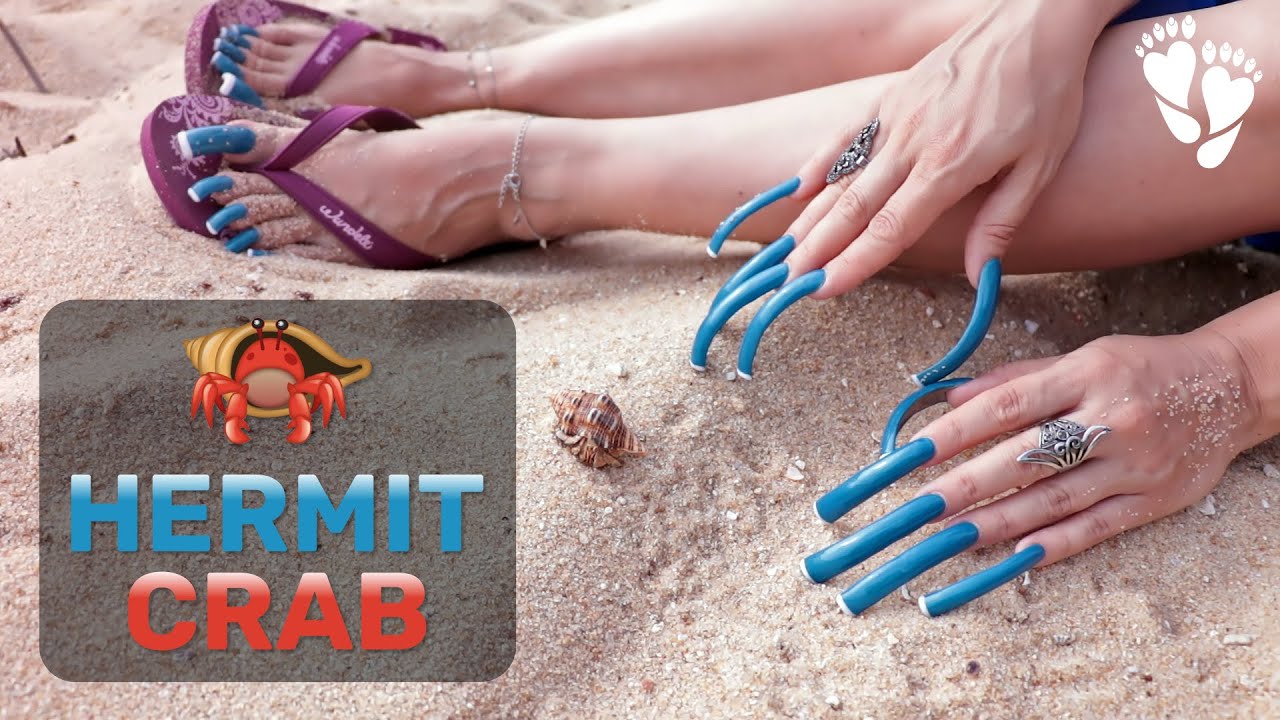Long NAILS 🦀 Hermit CRAB YouTube