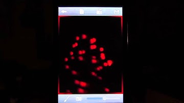 Loop 45 - Additive Mode