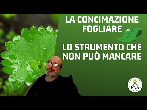 Video: Cos'è il calcolo del volume delle vendite