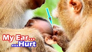 Terrified Hand Pull My Ear Pull Bad My Ear Very Hurt Mom Tell Sonita Stop..stop Pull.