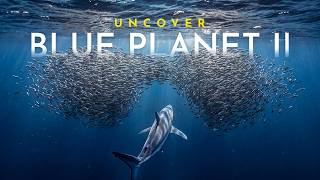BLUE PLANET II | A Journey Through the Living Ocean | FULL EPISODE | Full Documentary