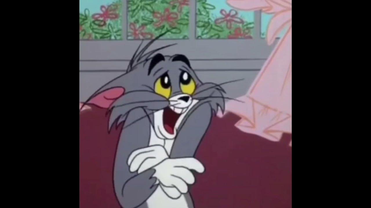 Meme Template 05 ( Sad and depressed tom meme template) YouTube