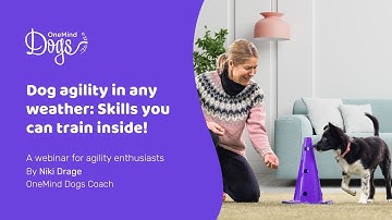 FREE Webinar: Dog agility in any weather: Skills you can train inside!