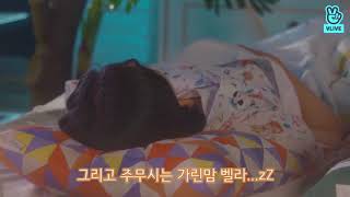 [V LIVE] ASMR X 엘리스 by 눕방 LieV