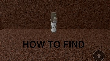 How To find PEBBLE MARKER in find the markers Roblox
