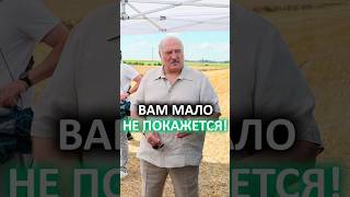 Лукашенко: Не дай бог вы меня разозлите! Падёж – это НЕПРИЕМЛЕМО! // Про падёж скота #shorts