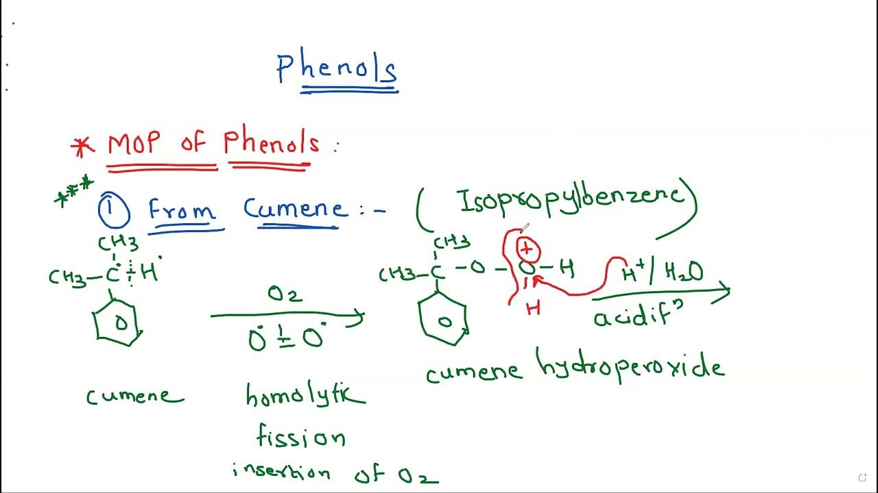 MOP of Phenol from Cumene [class 12] YouTube