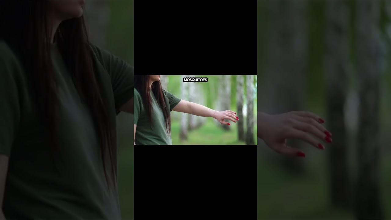 Best Time to Visit Utila 🇭🇳 – Avoid the Crowds & Save Money!