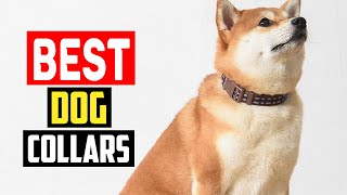 ✅Top 5 Best Dog Collars of 2025