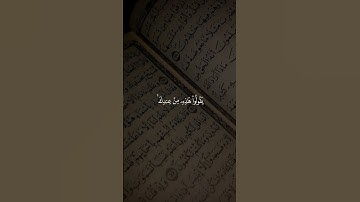 #ارح_مسامعك_وقلبك_مع_تلاوه_القران #قران_كريم #اكتب_شي_تؤجر_عليه #أينما#تكونوا#يدرككم #الموت#متابعة