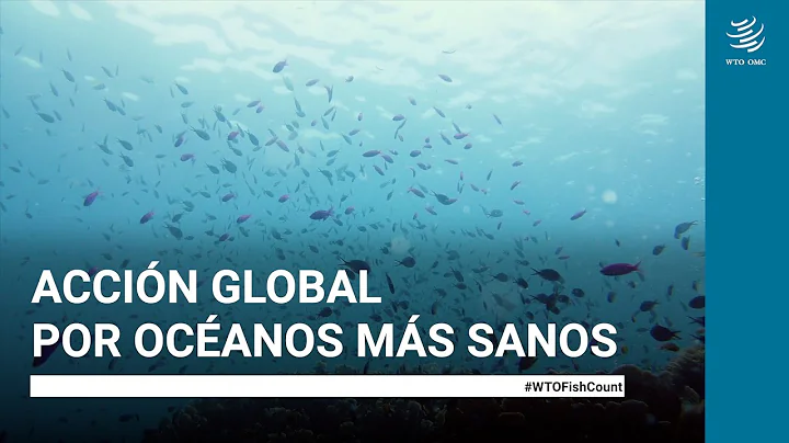 Acción global por océanos más sanos